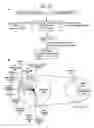 Fig. 14 - Regulated nucleic acids in pathogenesis of Alzheimer's Disease
