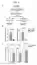 Fig. 15 - Regulated nucleic acids in pathogenesis of Alzheimer's Disease