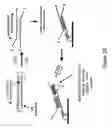 Fig. 07 - Nucleic acid hybridization methods