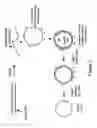 Fig. 08 - Nucleic acid hybridization methods