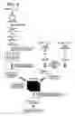 Fig. 06 - Method of DNA array construction, gene expression analysis, and discovery of useful genes