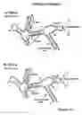 Fig. 22 - Polymearase III-based expression of therapeutic RNAs