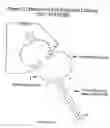 Fig. 28 - Polymearase III-based expression of therapeutic RNAs