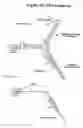 Fig. 32 - Polymearase III-based expression of therapeutic RNAs