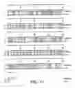 Fig. 13 - Polynucleotides and polypeptides encoding receptors