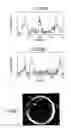 Fig. 07 - Method of handling an oocyte during in vitro fertilization