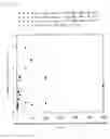 Fig. 05 - Immunoreaction measurement method