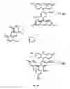 Fig. 03 - Target sequences for synthetic molecules