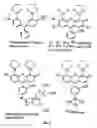 Fig. 12 - Target sequences for synthetic molecules