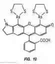 Fig. 13 - Target sequences for synthetic molecules