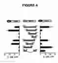 Fig. 05 - Regulation of gene expression by protein methylation