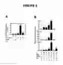 Fig. 07 - Regulation of gene expression by protein methylation
