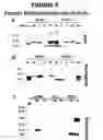 Fig. 09 - Regulation of gene expression by protein methylation