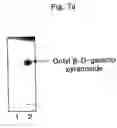 Fig. 08 - Stabilized biocatalysts and methods of bioconversion using the same