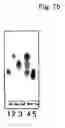 Fig. 09 - Stabilized biocatalysts and methods of bioconversion using the same