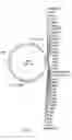 Fig. 02 - Plasmid system for multigene expression
