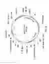 Fig. 07 - Plasmid system for multigene expression