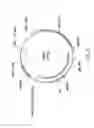 Fig. 09 - Plasmid system for multigene expression