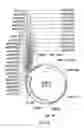 Fig. 10 - Plasmid system for multigene expression