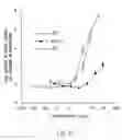 Fig. 24 - Vascular endothelial growth factor 2