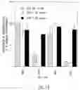 Fig. 26 - Vascular endothelial growth factor 2