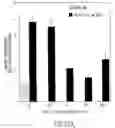 Fig. 27 - Vascular endothelial growth factor 2