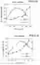 Fig. 29 - Vascular endothelial growth factor 2