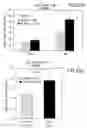 Fig. 35 - Vascular endothelial growth factor 2