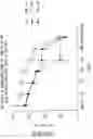 Fig. 44 - Vascular endothelial growth factor 2