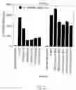 Fig. 46 - Vascular endothelial growth factor 2