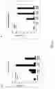 Fig. 02 - Use of the RTX secretion system to achieve heterologous polypeptide secretion by 