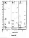 Fig. 03 - Process for chromatographic separation of nucleosides