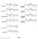 Fig. 06 - Esterases with lipase activity