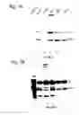 Fig. 08 - Functional mutations in respiratory syncytial virus