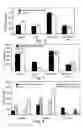 Fig. 03 - Method and apparatus for maintenance and expansion of hemopoietic stem cells and/or progenitor cells