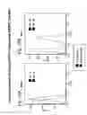 Fig. 13 - Compositions and methods relating to culturing neural stem cells with bone marrow stromal cells