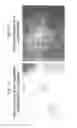 Fig. 16 - Compositions and methods relating to culturing neural stem cells with bone marrow stromal cells