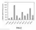Fig. 03 - Method for obtaining a cell model capable of reproducing in vitro the metabolic idiosyncrasy of humans