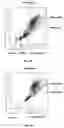 Fig. 02 - Method of measurement of nucleated red blood cells