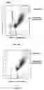 Fig. 03 - Method of measurement of nucleated red blood cells