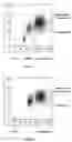 Fig. 09 - Method of measurement of nucleated red blood cells