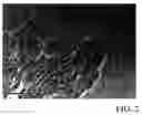 Fig. 03 - Controlled growth of gallium nitride nanostructures