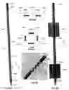 Fig. 06 - Pin-type probes for contacting electronic circuits and methods for making such probes