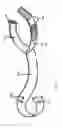 Fig. 02 - Attachable apparatus for a child's accessory