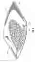 Fig. 07 - Search and find toy