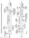 Fig. 06 - Delayed data transmission in a wireless communication system after physical layer reconfiguration