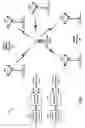 Fig. 02 - Transparent broadcast services for a multi-mode wireless device