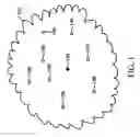 Fig. 02 - Power control in ad-hoc wireless networks