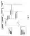 Fig. 12 - Internet protocol based wireless communication arrangements