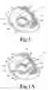 Fig. 02 - Golf ball putter including golf ball alignment indicia